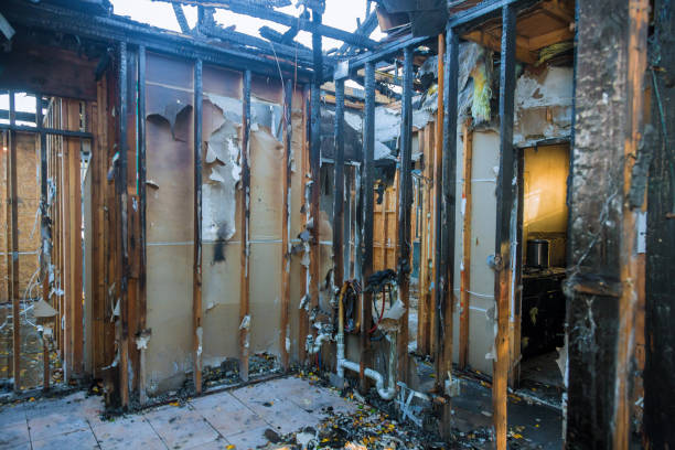 Professional Fire Damage Removal technician working in Bock, MN